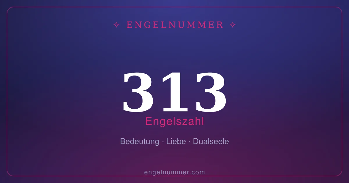 Engelszahl 313 — Bedeutung